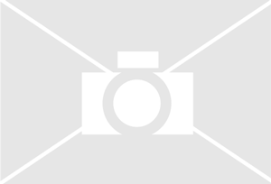 Bedrijfs logo