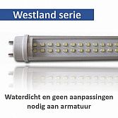 Westland LED buis