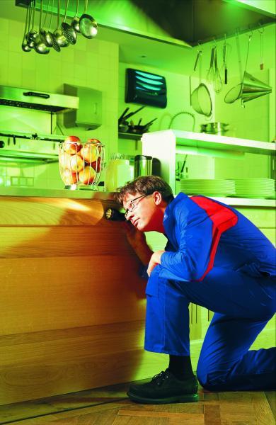 Rentokil Pest Control - De Meern