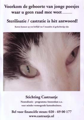 Stichting Castraatje - Amsterdam