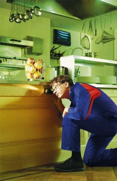 Rentokil Pest Control - Amsterdam