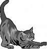 kattengedrag112 - Bedum