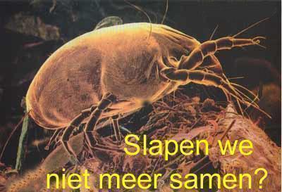 InterceptCleaning - Den Haag