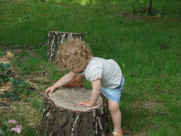 Kinderopvang de Cristallijn - Beuningen