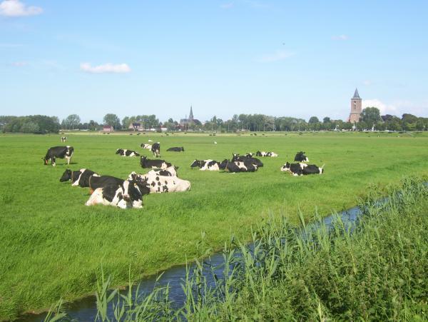 Hotel de Boerenkamer Hoeve Meerzicht - Monnickendam