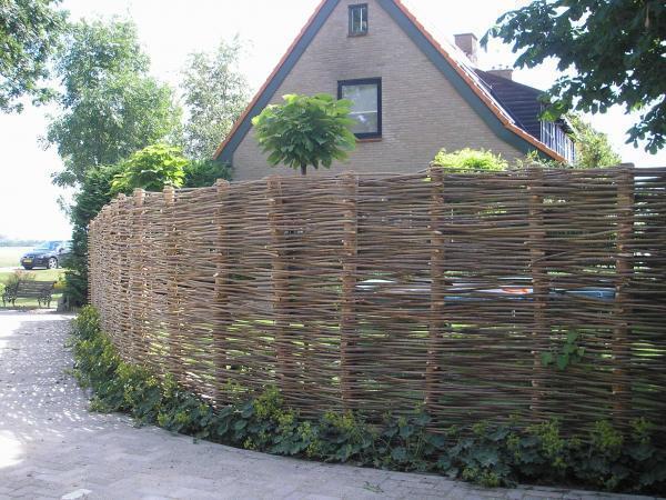 de Wilgenteen - Zaandam