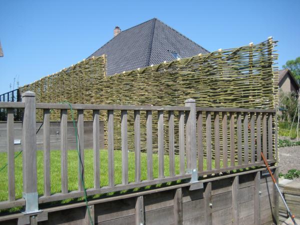 de Wilgenteen - Zaandam