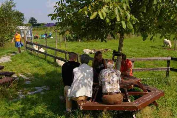 Natuurcamping en Galerie Thyencamp - Hooghalen