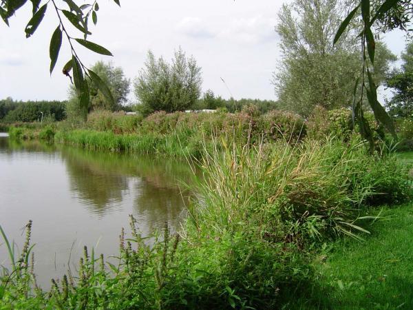 camping Taniaburg - Leeuwarden