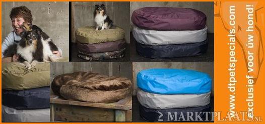 DT petspecials - Tolbert