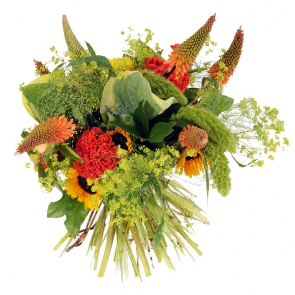 Bloem en Lifestyle - Bergschenhoek