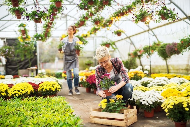 Assortiment bij Arno Kuipers Tuincentrum Hengelo