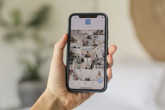 De Beste Bronnen Voor Sociale Media En Persoonlijke Fotos