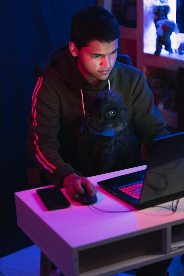 De snelle opkomst van in Nederland geboren online entertainmentbedrijven