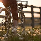3 Redenen voor het afsluiten van een fietsverzekering