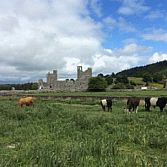 9 daagse Keltische Tour Ierland 2016 let op! vroegboekkorting