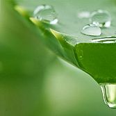 ALOE VERA GEL PLUS 86%