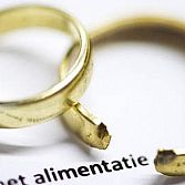 Alimentatie onderzoek