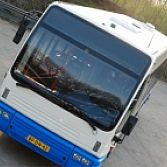 Alliance Discobus