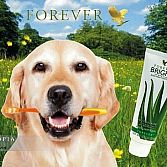 Aloe vera voor dieren
