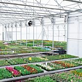 Arno Kuipers: Tuinonderhoud, Advies, Planten en Boomverkoop
