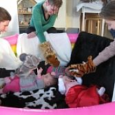 Baby Sensory