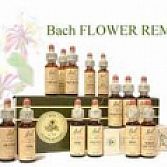 Bach Bloesems-Dier