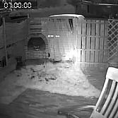 Betaalbare PTZ camera met nacht zicht en opname