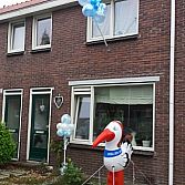 Blitz Ballonnen Bollenstreek