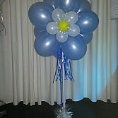 Blitz Ballonnen Bollenstreek