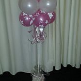 Blitz Ballonnen Bollenstreek