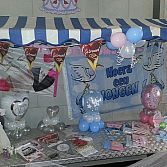 Blitz Ballonnen Bollenstreek
