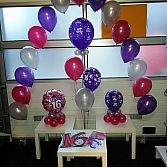Blitz Ballonnen, Lisse-bollenstreek