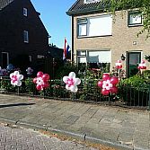 Blitz Ballonnen, Lisse-bollenstreek