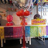 Blitz Ballonnen, Lisse-bollenstreek