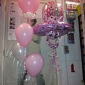 Blitz Ballonnen, Lisse-bollenstreek