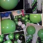 Blitz Ballonnen, Lisse-bollenstreek