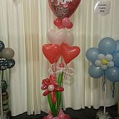 Blitz Ballonnen, Lisse-bollenstreek