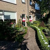 Blitz Ballonnen - Trouwen-Bruiloft-Huwelijk