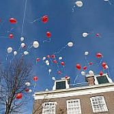 Blitz Ballonnen - Trouwen-Bruiloft-Huwelijk