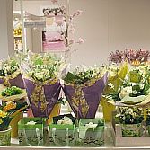 Bloemen- en Plantenhoezen