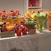 Bloemen- en Plantenhoezen
