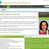 Blueprint Coaching