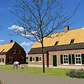 Boerderijen.