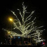 Boomverlichting