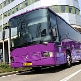 Budget Partybus VIP