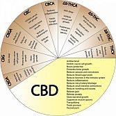  CBD Olie 