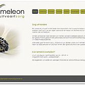 CMS Website projecten