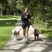Canadog jogginggordel