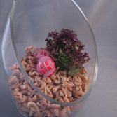 Cateringservice